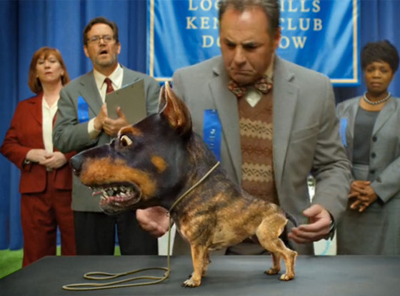 Doberuaha, Audi Superbowl Commerical Doberuaha, Audi Superbowl Commerical